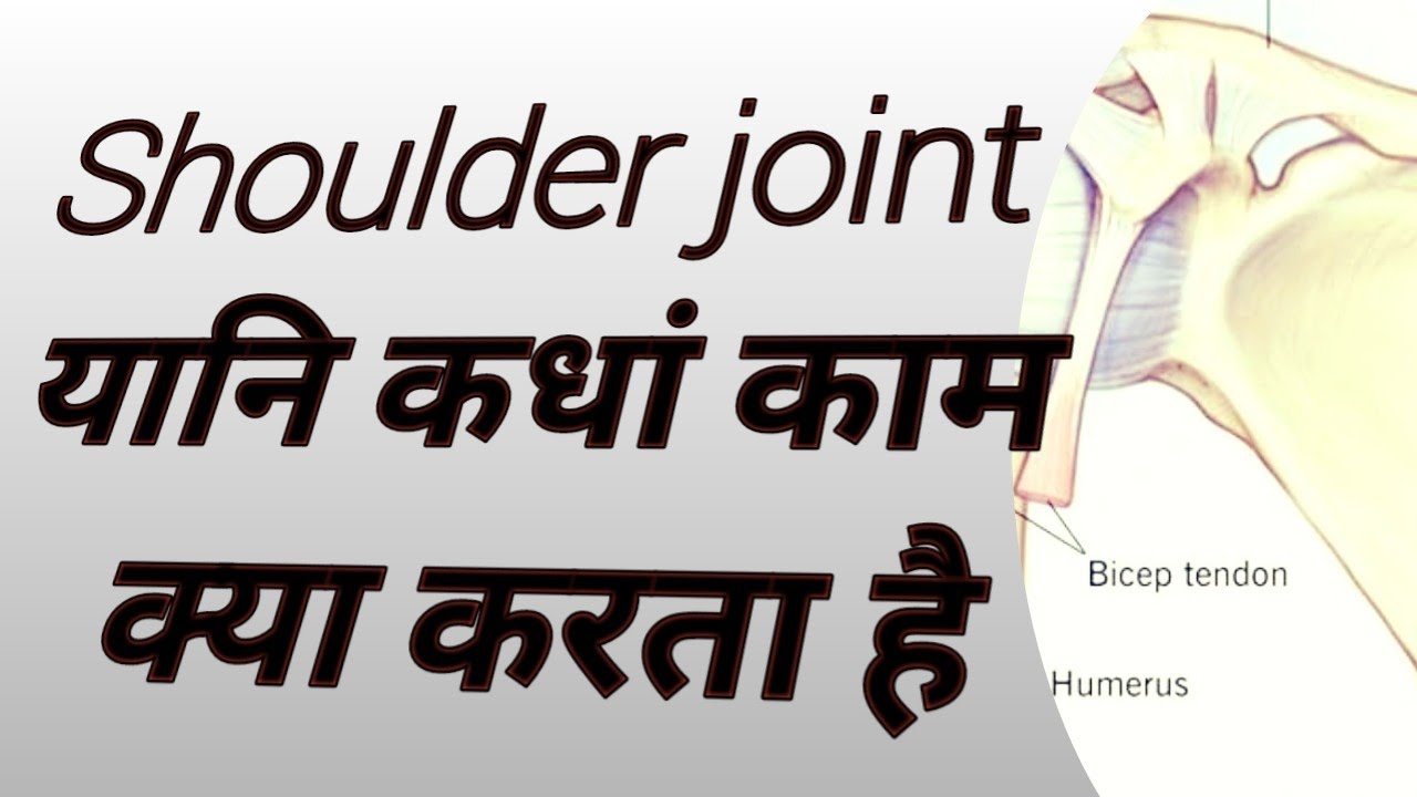 Shoulder joint kaam kaise karta hai shoulder_joint uttam_singh YouTube