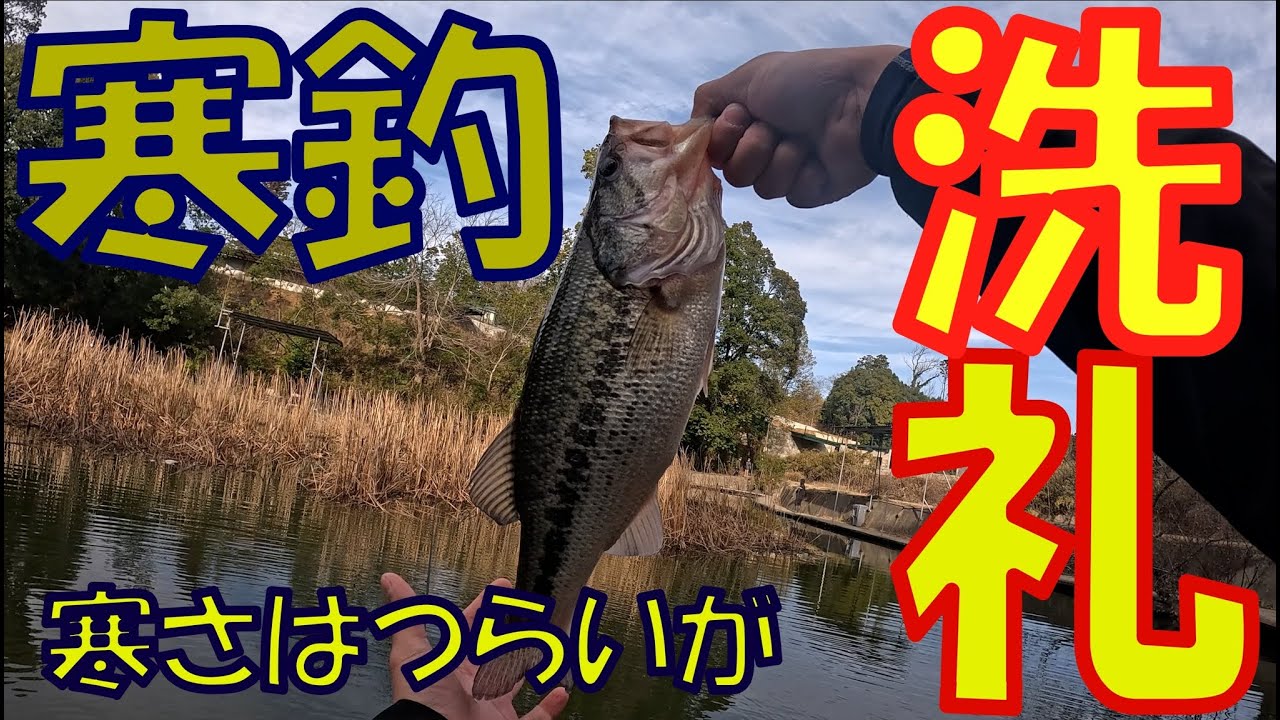 釣りパラダイスさんで冬バス釣り！前回爆釣だったがゆうくん！今回は！？