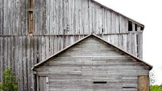 95 Acre Farm in Mono | Dufferin County | David Visentin