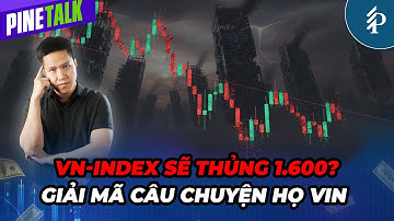 Thị trường phân hóa trước nhóm VIN - Đâu là đáy của VN-Index? | Livestream Pinetalk