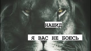 Нашид - Я вас не боюсь 🦁☝🏼!