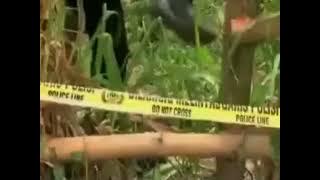 Download lagu Promo Menyingkap Tabir On TVONE (2011-2014)