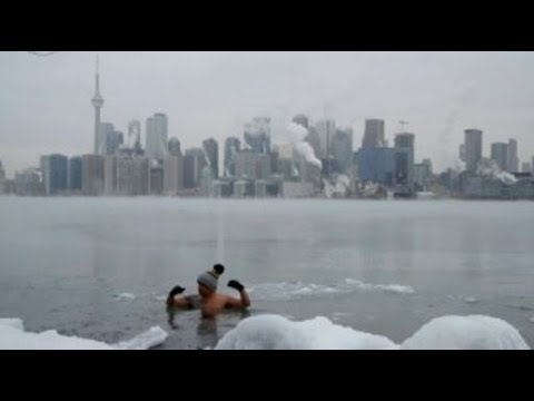 Video: Ku të bëhesh krijues në Toronto