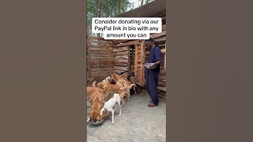 Please don’t scroll my engagement is low a single comment can help my babies get food and vaccines