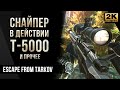 Снайпер в действии Т-5000 • Escape from Tarkov №63 [2K]