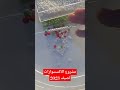 مشروع صنع الاكسسوارات لصيف 2023 براس مال قليل جدا مشروع اكسسوارات وصفات