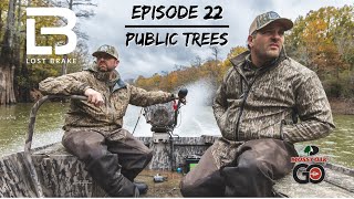 Duck Hunting Arkansas Public Land  Episode 22  Public Trees
