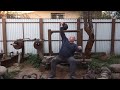 60 В 60!ЖИМ ГИРИ 60 КГ ПО ПОЛНОМУ ЦИКЛУ СИДЯ НИЗКО 5 РАЗ 60 AT 60!60 KG KB PRESS LONG CYCLE SEATED 5