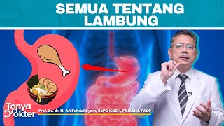 LAMBUNG: Dari Fungsi Hingga Penyakit Lambung | Kata Dokter #16