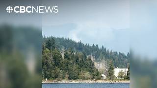 Wildfire burns in Metro Vancouver as helicopters attack flames