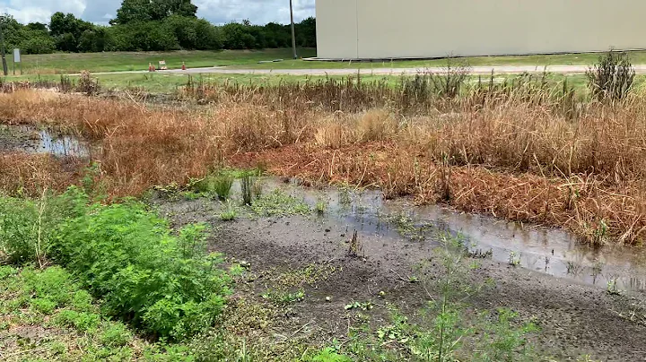 Water Treatment Facility in Kissimmee