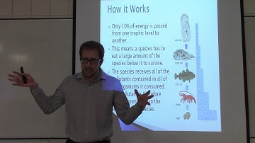 Bioaccumulation and Biomagnification