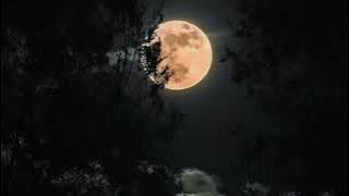 Download lagu Anas Laheboubi - انس لهبوبي - القرآن الكريم