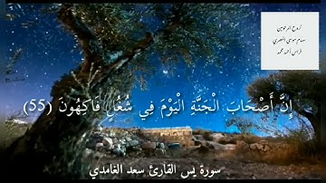 حالات واتساب دينية سورة يس القارئ سعد الغامدي