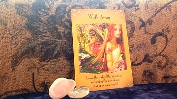 Daily Oracle Card Reading 3rd January 2018 by Fairy Willow Magical messages from the fairies tarot