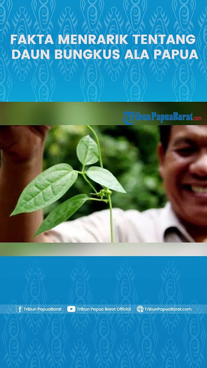 FAKTA MENRARIK TENTANG DAUN BUNGKUS ALA PAPUA
