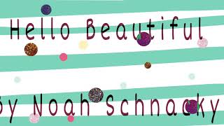 Noah Schnacky - Hello Beautiful (lyrics)
