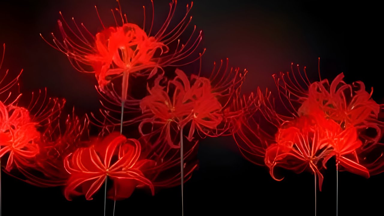 Золотая эра гулей 2021-2022 сборник треков (Golden Age of Ghouls 2021-2022 playlist)