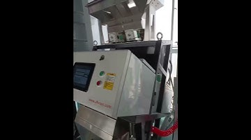 2 chutes color sorter machine working at customer