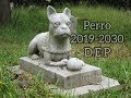 Cuantos años vive un perro segun su raza