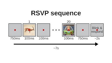 Rapid serial visual presentation (RSVP) EEG paradigm