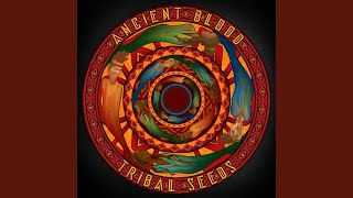 Video thumbnail of "Tribal Seeds - In Love"