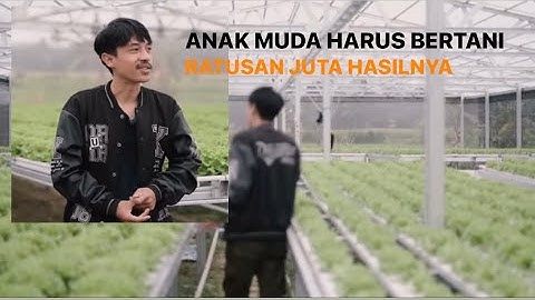 Sukses di usia Muda Sebagai Petani Sayur, Sudah menghasilkan RATUSAN JUTA !!