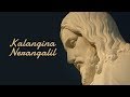 Kalangina Nerangalil | John Jebaraj | Levi Song