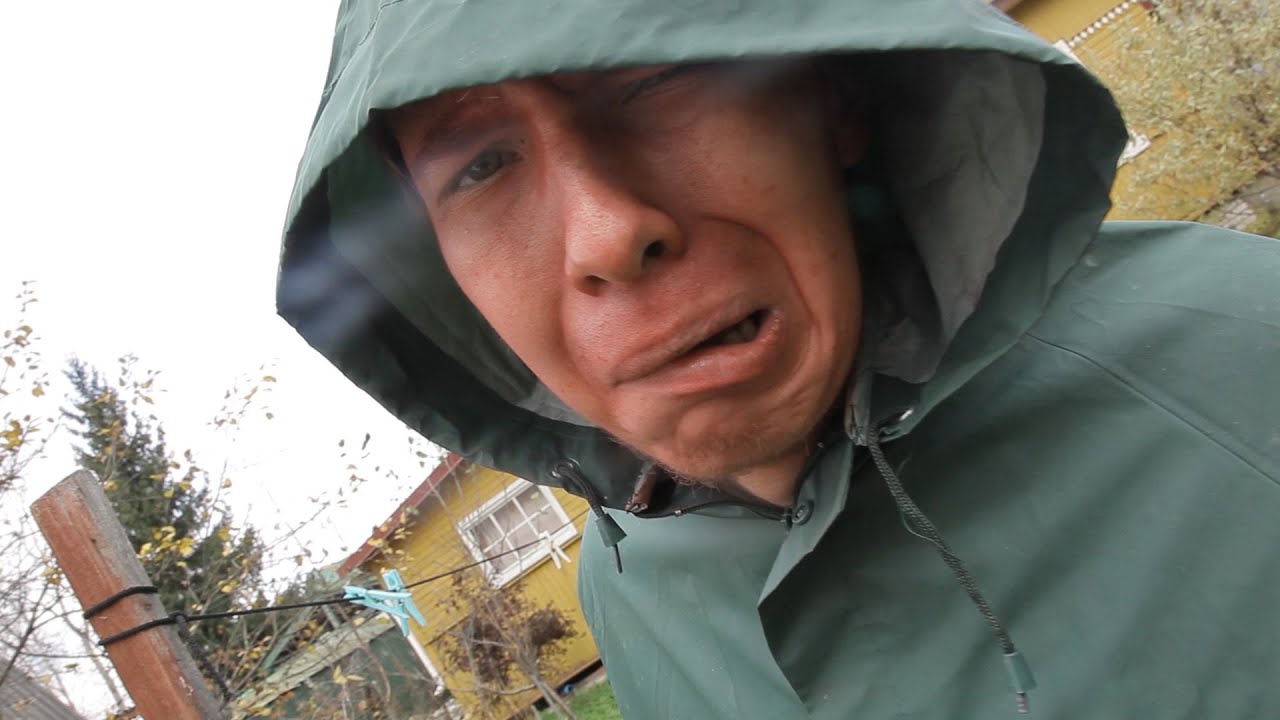 Ленинград машина клип