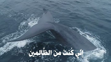 مقطع من سورة الأنبياء بصوت القارئ إسلام صبحي