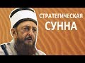 Стратегическая СУННА