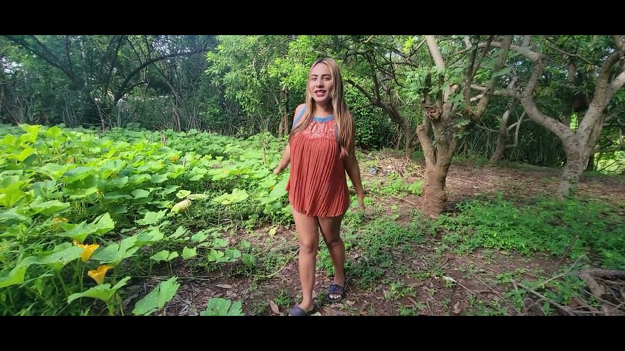 Paisaje salvadoreño