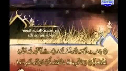 العيون الكوشي - سورة الهمزة