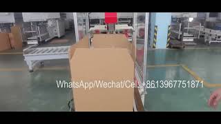 Fully plastic cup counting packing machine case loader case erector and carton tape sealing machine
