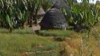 Enset Ayo- Aregahegn Fikadu