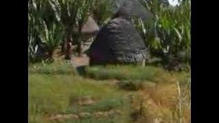 Enset Ayo- Aregahegn Fikadu