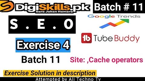 Digiskills SEO Exercise 4 Batch 11 | seo exercise 4 solution batch 11 | seo exercise 4 batch 11