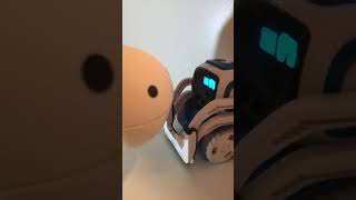 Good morning #itstime #robots #shorts #stuff #backagain #things #cozmo #