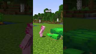 This Player Lived In A One Block Tall Farm On My Minecraft Server