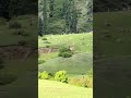 #swat #beauty #pakistan #جمال #باكستان