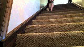 Cali Is Well-Trained