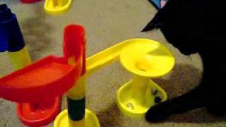 Cute kitten playing with marbleworks by jgwiz2008 8,028 views 12 years ago 1 minute, 20 seconds