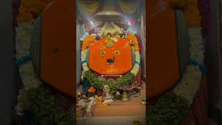 येडू आईच्या नावानं चांगभलं 🌺🙏#येडाबाईस्टेटस #yedeshwarisong #yedabai #yedamay #dhavajipatil #ydmedia
