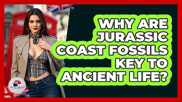 Why Are Jurassic Coast Fossils Key To Ancient Life? - United Kingdom Explorers