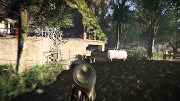 Crysis 300FPS Rendered + Xzero Shader Download link  [1080P]