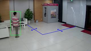 Uniview Camera "Cross Line" Software screenshot 5