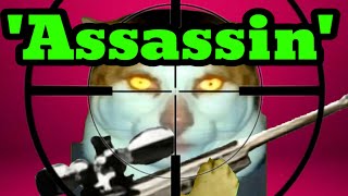 Monday cat as a Assassinate