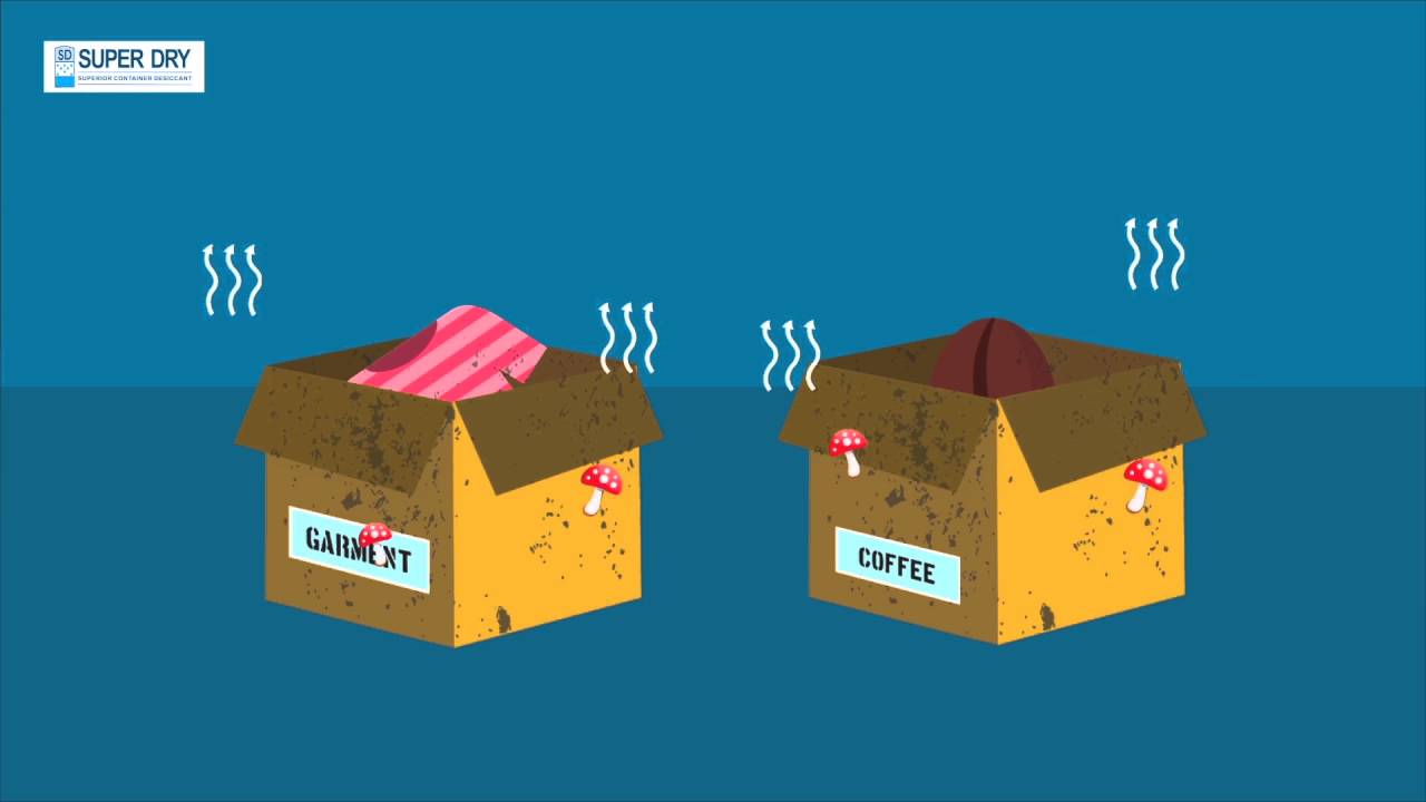 Container Desiccant Super Dry YouTube