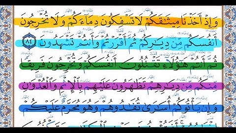 كيف تقرأ سورة البقرة مع شرح أحكام التجويد  84-88💚 احمد البربرى