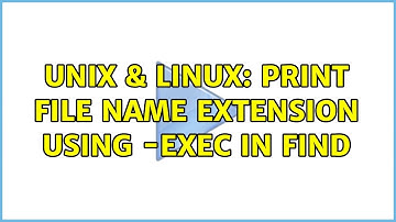 Unix & Linux: Print file name extension using -exec in find (2 Solutions!!)